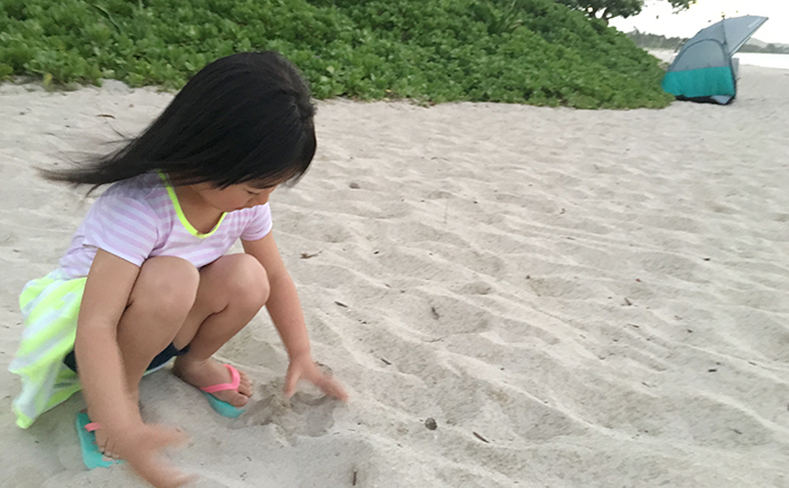 子供と砂浜　貝探し